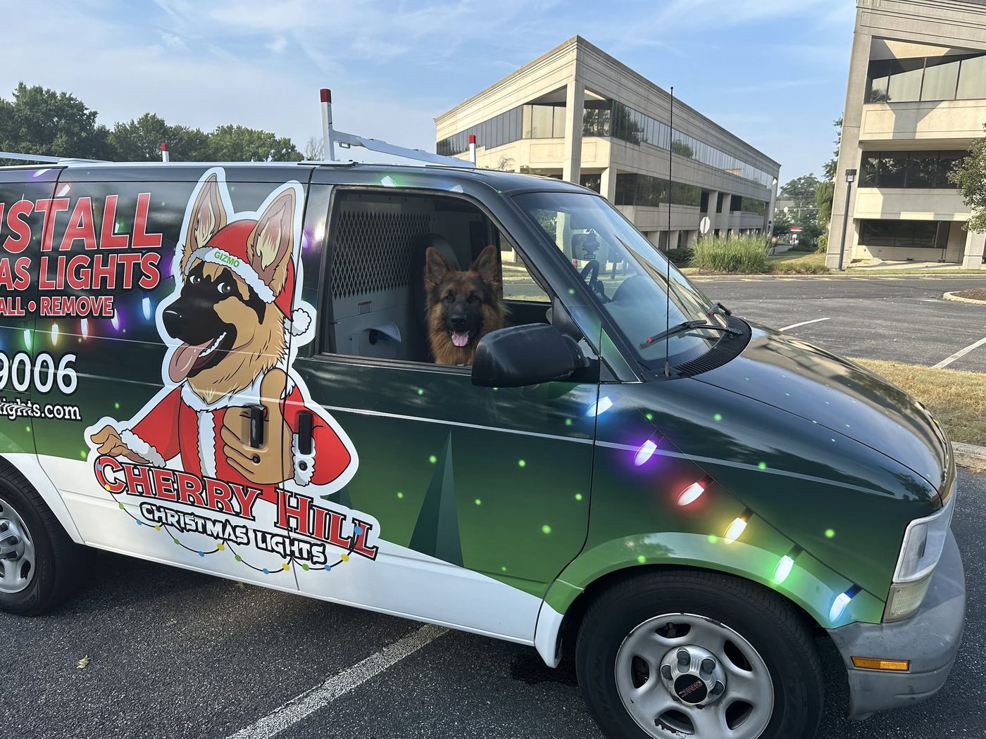 Gizmo the German Shepherd riding in the Cherry Hill Christmas Lights van, wrapped in green with holiday lights graphics